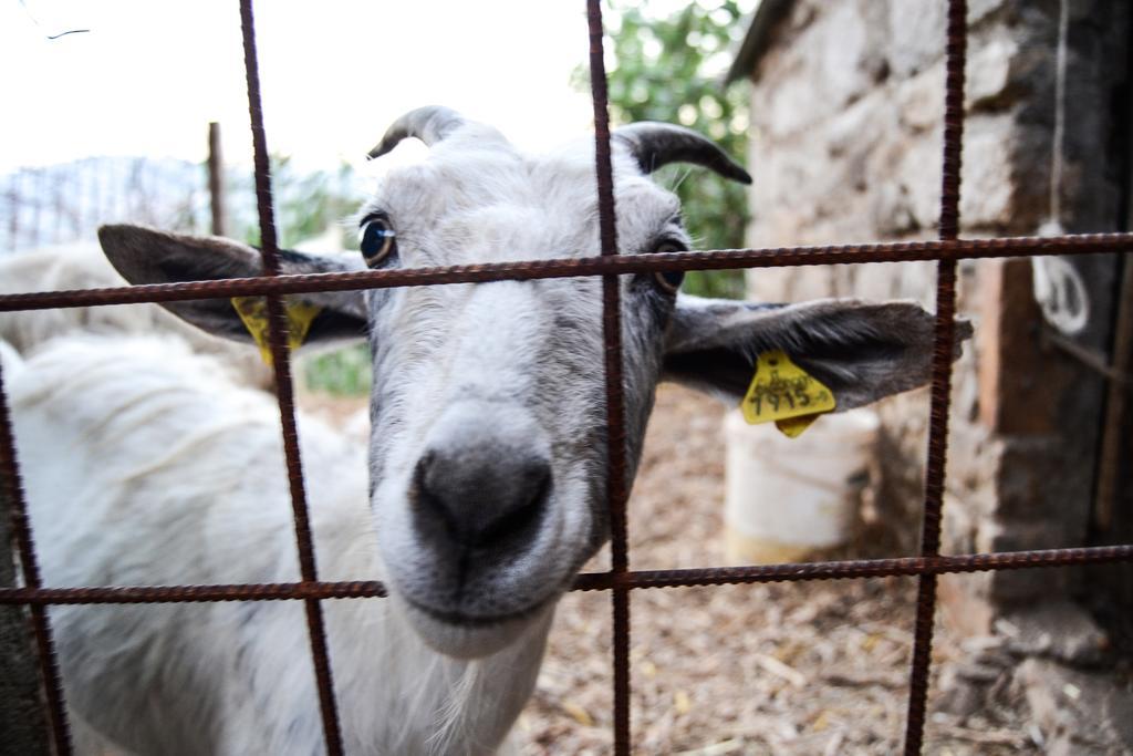 הוילה Casalanguida Agriturismo Montagnola Abruzzo מראה חיצוני תמונה